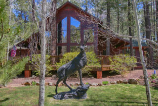 4805 Deep Forest Dr, Pinetop AZ  85935-8151 exterior