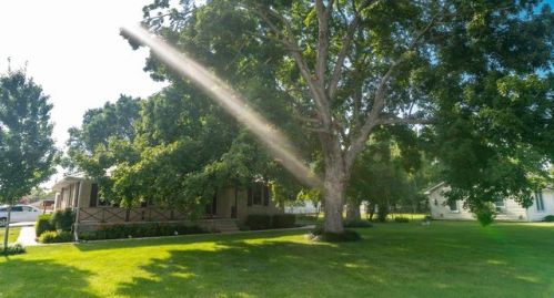 3519 Gale Ln, Hopkinsville, KY 42240-5382