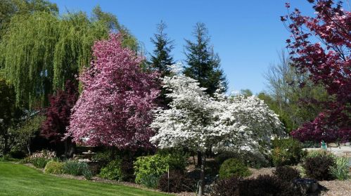 12108 Lake Wildwood Dr, Lake Wildwood CA  95946-9451 exterior