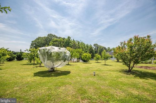 8574 Gray Fox Ln, Owens VA  22485-3572 exterior