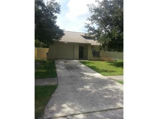 3809 Pinedale St, Brandon, FL 33511-7821