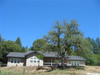 4140 Zdolsek Pl, Greenwood, CA 95635-9707