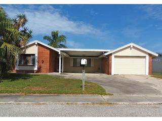 3203 Honeymoon Ln, Tarpon Springs, FL 34691-1116