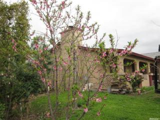 8364 Summer Sky Dr, Sacramento, CA 95828-5381