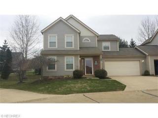 8723 Quailridge Ct, Macedonia, OH 44056-1772