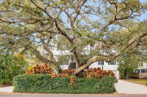 1410 Poinsettia Ave, Tarpon Springs, FL 34689-2340