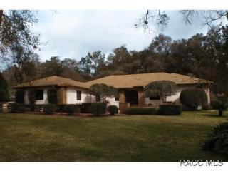 2603 Laureen St, Lecanto FL  34461-9502 exterior