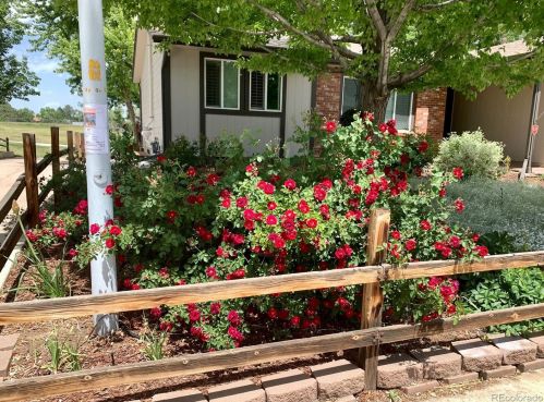 4173 Andes Way, Denver CO  80013-3833 exterior