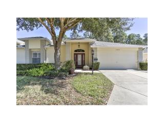 18134 Baywood Forest Dr, Port Richey, FL 34667-5772