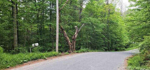 212 Creamery Rd, Swan Lake, NY