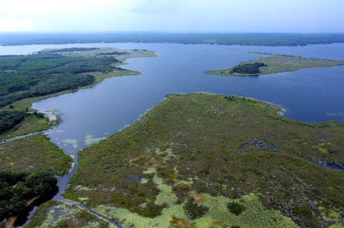 23500 154th Place Rd, Fort Mc Coy, FL 32134-6087