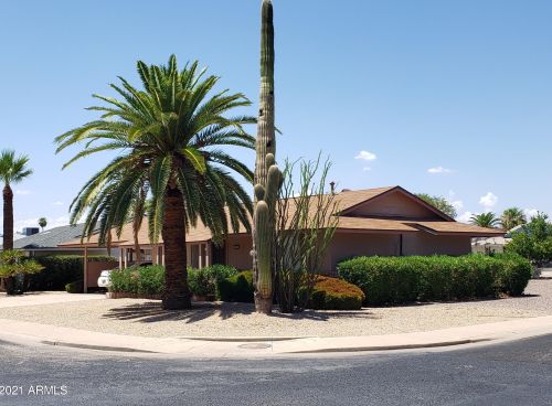 11002 Salem Dr, Sun City, AZ 85351-4317