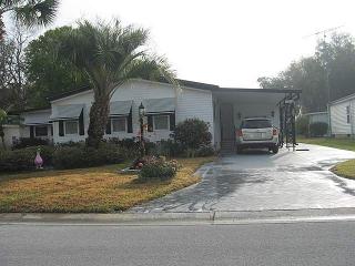 112 Pine Pl, Wildwood, FL 34785-9232