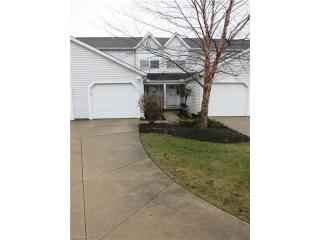 719 Gold Leaf Ct, Streetsboro, OH 44241-3933