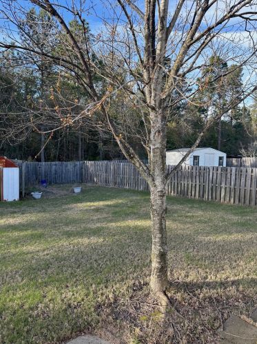 366 Mill Branch Way, North Augusta SC  29860-8623 exterior