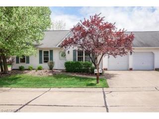 439 Scarborough Ln, Concord Township, OH 44077-1391
