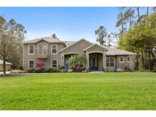 14014 Deep Forest Ct, Orlando, FL 32832-5725