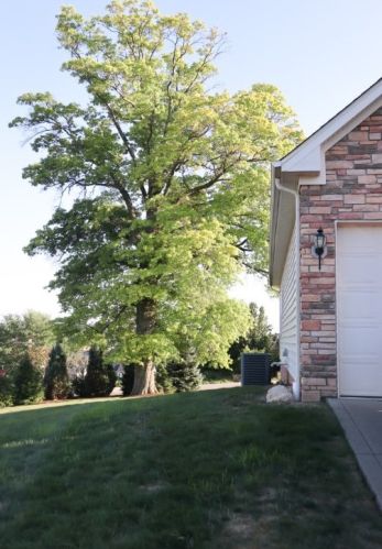 721 Marigold Ct, Bridgeville, PA 15017-3807
