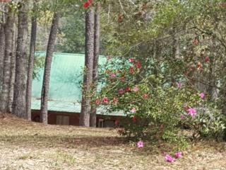 23022 Black Bottom Rd, Altha, FL 32421-4218