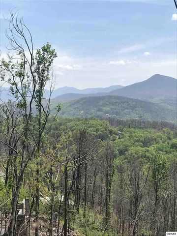 1009 Twin Oaks Rd, Gatlinburg, TN 37738-4235