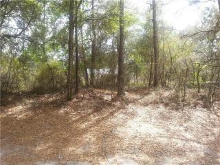 2479 Captain Dr, Deltona, FL 32738-1124