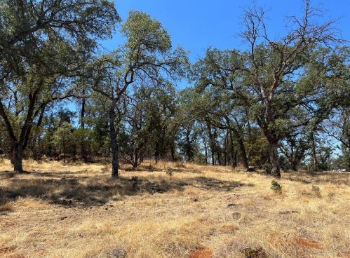 6321 Upper Palermo Rd, Oroville CA  95966-9017 exterior