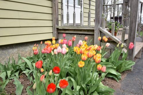 108 Howe Rd, New Britain, CT 06053-1317