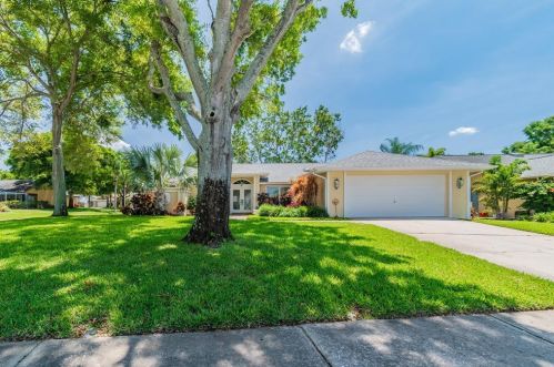 1562 Virginia Ave, Palm Harbor, FL 34683-4638