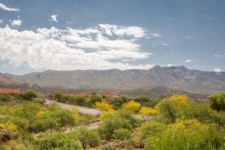 38339 Samaniego Dr, Tucson, AZ 85739-1047