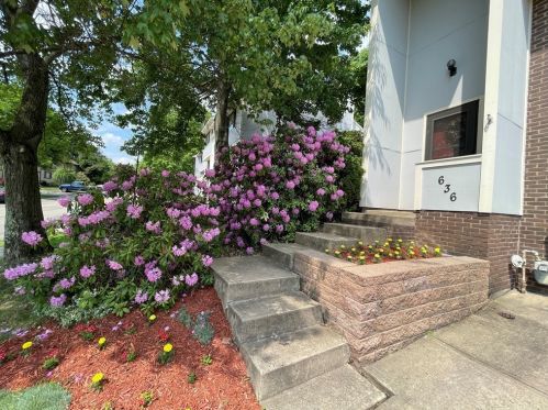 636 Deer Watch Rd, Bridgeville PA  15017-1149 exterior