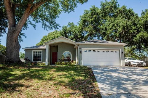 231 Morgan Ct, Palm Harbor, FL 34684-4633