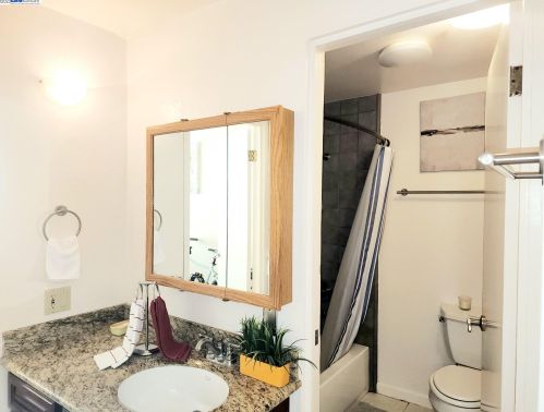 2352 Hilgard Ave, Berkeley CA  94709-1312 exterior