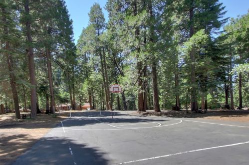 3848 Gold Ridge Trl, Pacific House CA  95726-9740 exterior