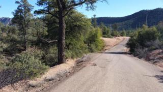 1113 Sutton Rd, Payson, AZ 85541-5846