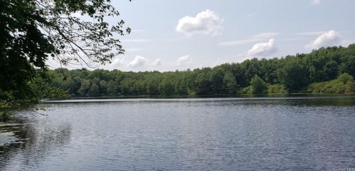 100 Lake Dr, Swan Lake, NY