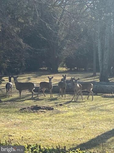 678 Cathcart Rd, Blue Bell PA  19422-1404 exterior