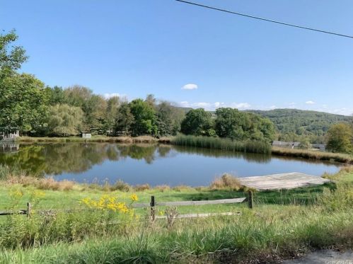 684 County Route 164, Callicoon, NY 12723-5848