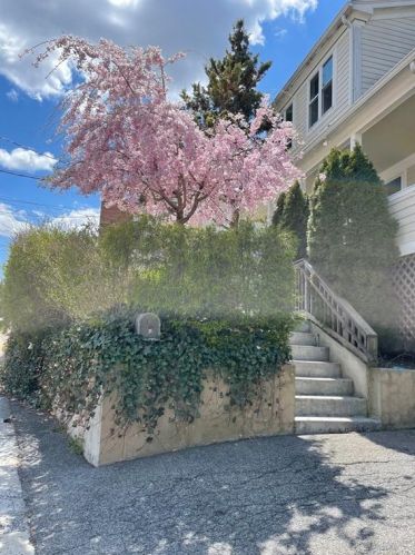 21 Harmon St, White Plains, NY 10606-1417