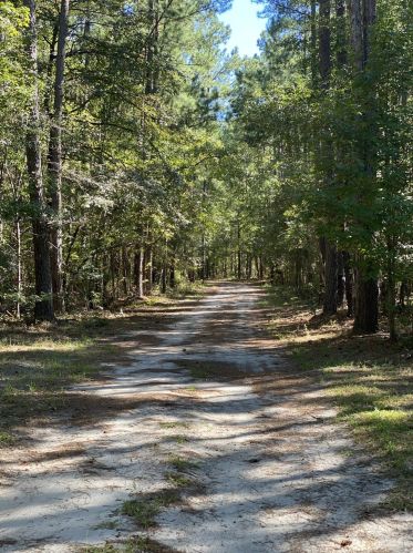 304 Mookees Ln, Cross SC  29436-9102 exterior