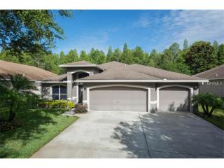 19712 Morden Blush Dr, Lutz, FL 33558-9088