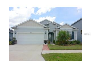 11509 Balintore Dr, Riverview, FL 33579-3918