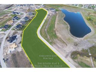 2218 White Birch Dr, Ankeny, IA 50023