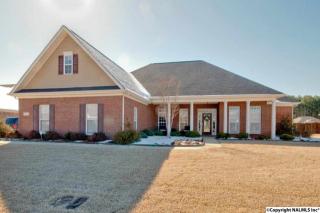 116 Mallard Cove Dr, Madison, AL 35756-8289
