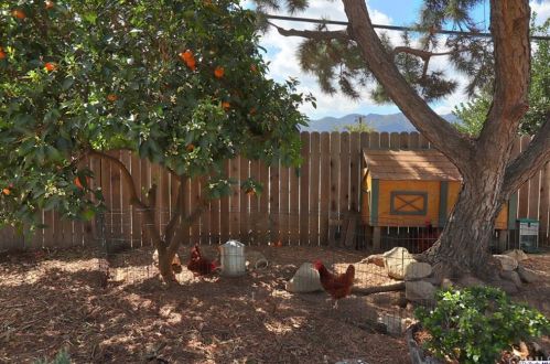 2700 El Caminito, Glendale CA 91214-2934 exterior