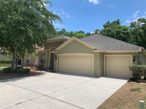 10528 Deerberry Dr, Land O Lakes FL  34638-6947 exterior