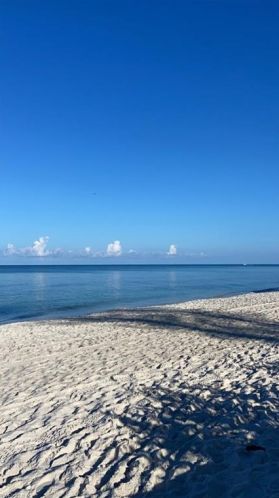 4005 Gulf Shore Blvd, Naples, FL 34103-2224