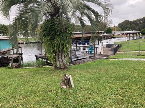 11545 Hickory Ln, Tavares, FL 32778-4746