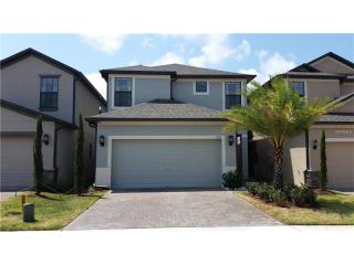 1136 Ballard Green Pl, Brandon, FL 33511-2390