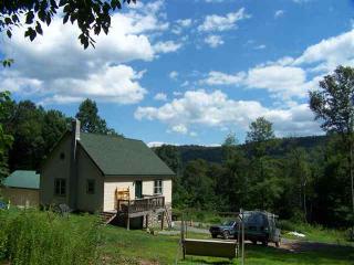 3023 Laurel Run Rd, Landisburg, PA 17040-9020