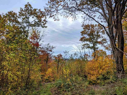 107 John Hodgdon Rd, Ossipee, NH 03864-7466
